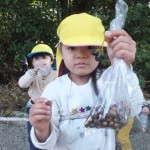 ひよこ、ひかり組　下鴨神社お散歩　11月１６日（水）