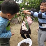 ことり組　屋上ご飯と大根抜き　１１月４日（金）・８日（火）