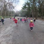 ひよこ組・ことり組　下鴨神社へたこあげ　１月１３日（金）