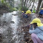 ひよこ組・ことり組　下鴨神社へたこあげ　１月１３日（金）