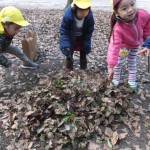 ひよこ組・ことり組　下鴨神社へたこあげ　１月１３日（金）