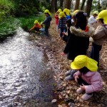 ひよこ組・ことり組　下鴨神社へたこあげ　１月１３日（金）