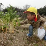 ひよこ組・ことり組 さよなら遠足 ３月６日（月）