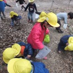 ひよこ組・ことり組 さよなら遠足 ３月６日（月）