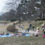 ことり・ひよこ組　賀茂川マラソン３月１３日(月)