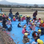 ことり・ひよこ組　賀茂川マラソン３月１３日(月)