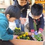 ことり組 お花植え ３月９日(木)