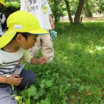 御所へ遠足　５月２６日（金）