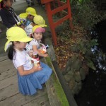 ひよこ組、ことり組　下鴨神社へお散歩　５月17日