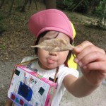 ひよこ組、ことり組　下鴨神社へお散歩　５月17日