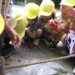 ひよこ組、ことり組　下鴨神社へお散歩　５月17日