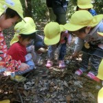 ひよこ組　オクラ、ピーマン植え　５月２日（火）