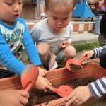 ことり組　ほうれん草、枝豆植え　５月９日(火)