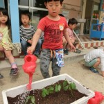 ことり組　ほうれん草、枝豆植え　５月９日(火)