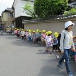 ひよこ組、ことり組　下鴨神社へお散歩　５月17日