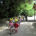 ひよこ組、ことり組　下鴨神社へお散歩　５月17日