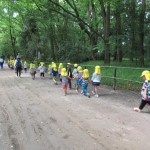 ひよこ組、ことり組　下鴨神社へお散歩　５月17日