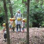 ひよこ組、ことり組　下鴨神社へお散歩　５月17日