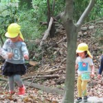 ひよこ組、ことり組　下鴨神社へお散歩　５月17日