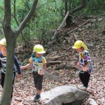 ひよこ組、ことり組　下鴨神社へお散歩　５月17日