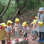 ひよこ組、ことり組　下鴨神社へお散歩　５月17日