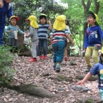 ひよこ組、ことり組　下鴨神社へお散歩　５月17日