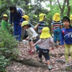 ひよこ組、ことり組　下鴨神社へお散歩　５月17日