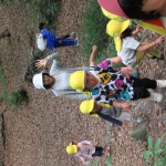 ひよこ組、ことり組　下鴨神社へお散歩　５月17日