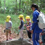 ひよこ組、ことり組　下鴨神社へお散歩　５月17日