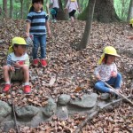 ひよこ組、ことり組　下鴨神社へお散歩　５月17日