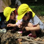 ひよこ組、ことり組　下鴨神社へお散歩　５月17日