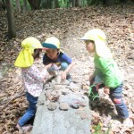 ひよこ組、ことり組　下鴨神社へお散歩　５月17日