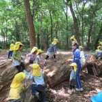 ひよこ組、ことり組　下鴨神社へお散歩　５月17日