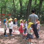 ひよこ組、ことり組　下鴨神社へお散歩　５月17日