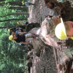 ひよこ組、ことり組　下鴨神社へお散歩　５月17日