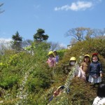 ことり組 賀茂川お散歩 ４月２４日(月)