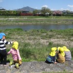 ことり組 賀茂川お散歩 ４月２４日(月)