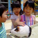 移動動物園　６月２日（金）