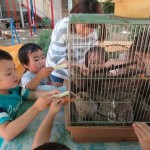 移動動物園　６月２日（金）