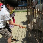 移動動物園　６月２日（金）