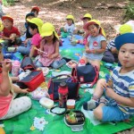 ひよこ組　下鴨神社へお散歩　６月２０日（火）