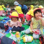 ひよこ組　下鴨神社へお散歩　６月２０日（火）