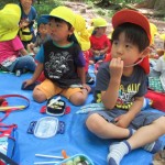 ひよこ組　下鴨神社へお散歩　６月２０日（火）