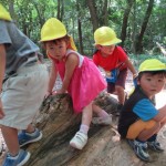 ひよこ組　下鴨神社へお散歩　６月２０日（火）