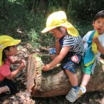 ひよこ組　下鴨神社へお散歩　６月２０日（火）