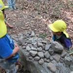 ひよこ組　下鴨神社へお散歩　６月２０日（火）