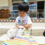 移動動物園　６月２日（金）