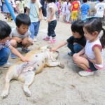 移動動物園　６月２日（金）