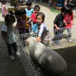 移動動物園　６月２日（金）