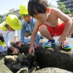 ことり組　高野川で川遊び　９月８日(金)